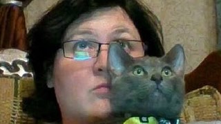 Some of your librarians circa 2016