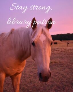 two weeks left and you’re all so brave