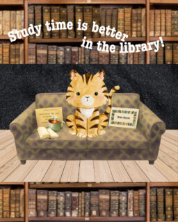 Whether you need a private study room, a group study area, or the serene quiet of a comfy chair, the library is ready to help you make it through your homework! Contact a librarian for help with research! Link in bio.